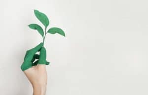 Green Printing Servcices