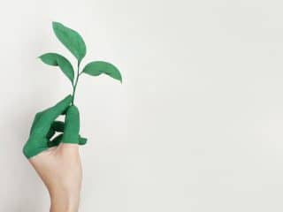 Green Printing Servcices