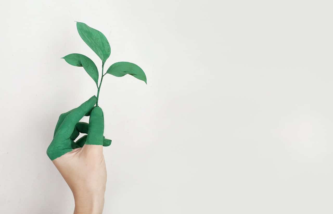 Green Printing Servcices