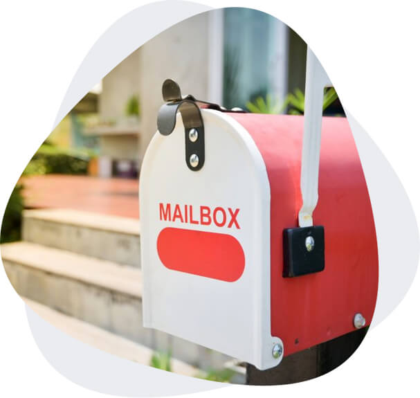 Catdi Printing Case Study: EDDM Direct Mail Boosts Customer Growth 2 img EDDM