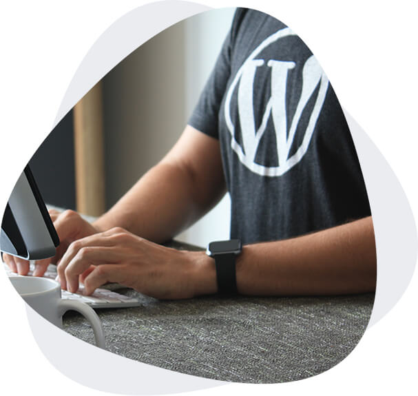 Houston Web Design 1 img wordpress developer
