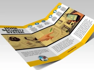 Tri-Fold Brochures